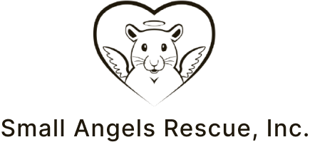 Little angels sale rescue