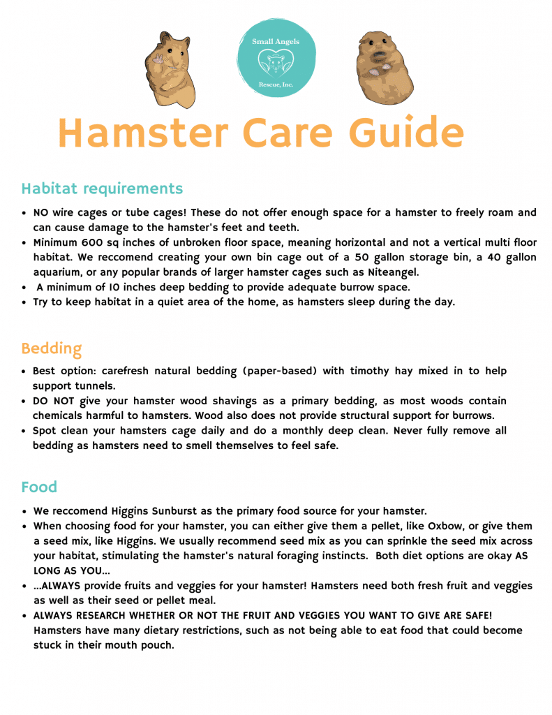 Hamster care guide by Small Angels Rescue in Maryland