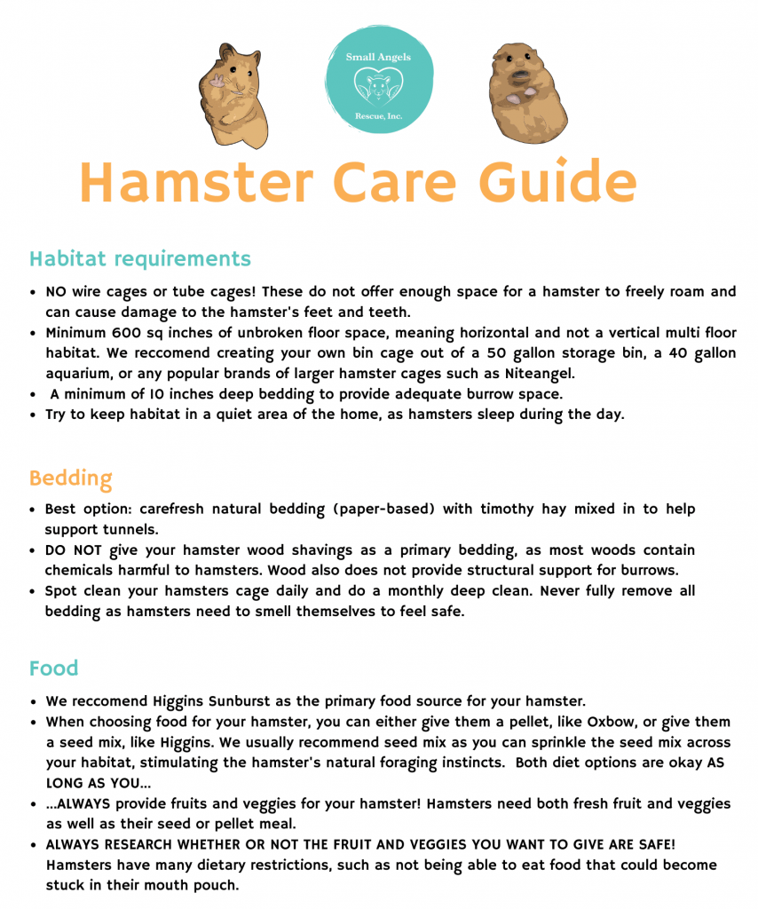 Hamster care guide by Small Angels Rescue in Maryland