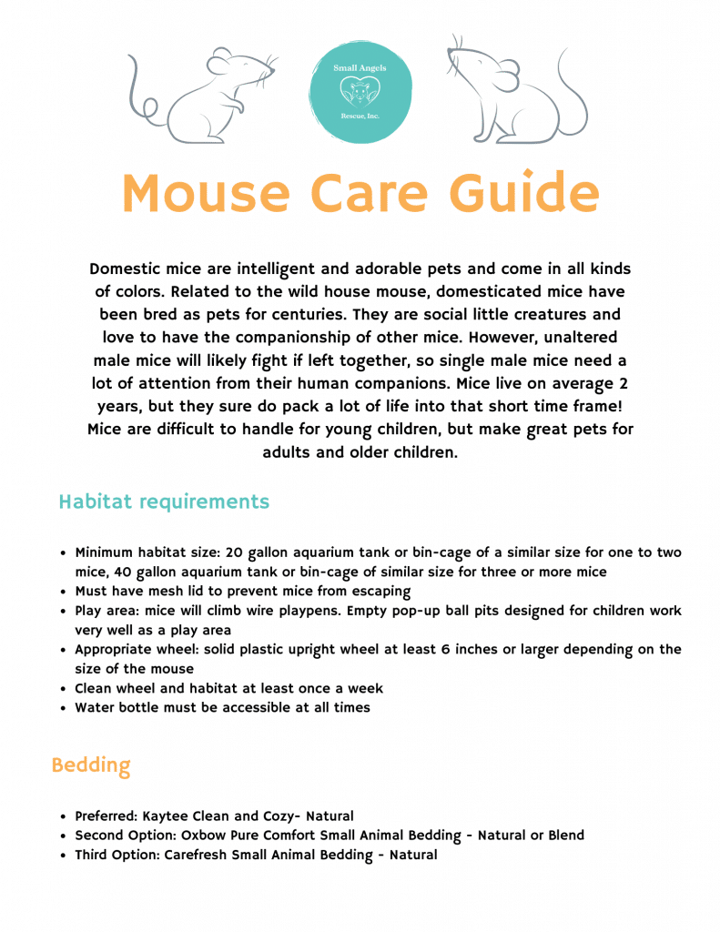 Mouse care guide by Small Angels Rescue in Maryland