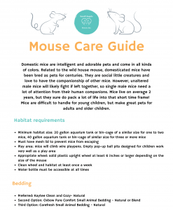 Mouse care guide by Small Angels Rescue in Maryland