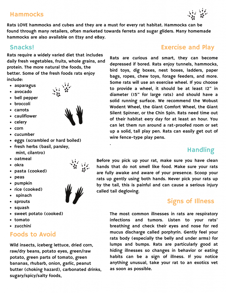 Rat care guide by Small Angels Rescue in Maryland - Page 2