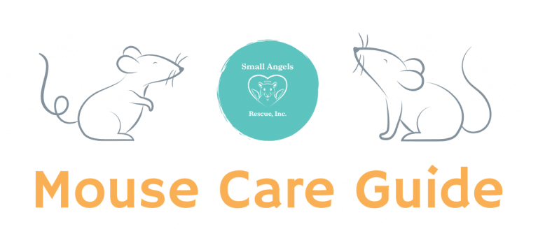 Mouse care guide by SARI - Small Angels Rescue, Inc.