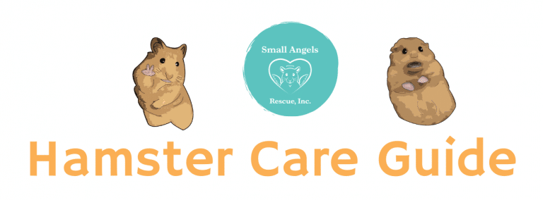 Hamster care guide by SARI - Small Angels Rescue, Inc.