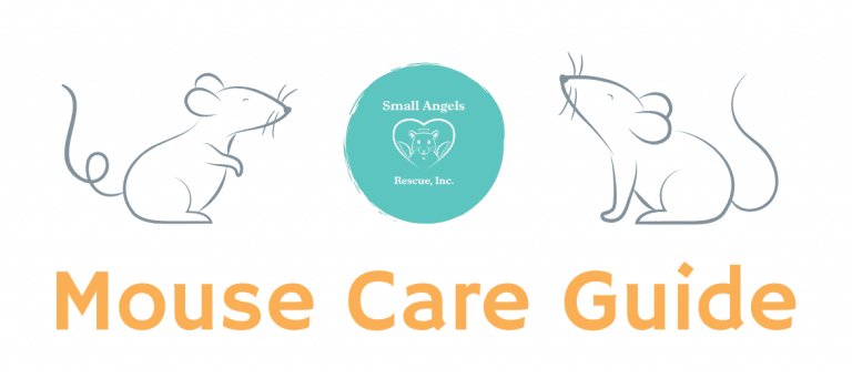 Mouse care guide by SARI - Small Angels Rescue, Inc.