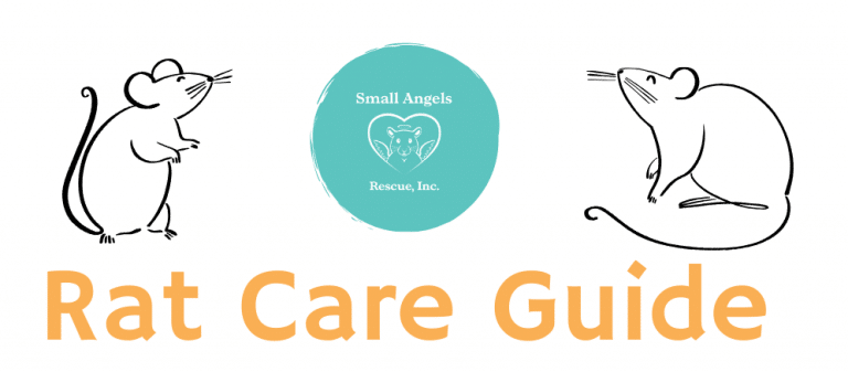 Rat care guide by SARI - Small Angels Rescue, Inc.